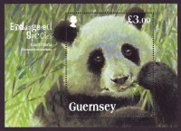 GB - Guernsey  2013  1 Block  **  Riesenpanda