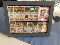 Bild mit Pilzbriefmarken ** / komplette Ausgaben + eigenes Foto