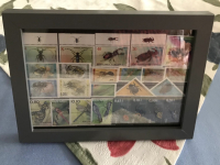 Bild mit Insektenbriefmarken ** / komplette Ausgaben