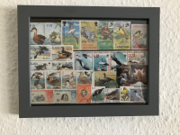 Bild mit Vogelbriefmarken ** / komplette Ausgaben