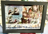 Bild mit Vogelbriefmarken ** / komplette Ausgaben