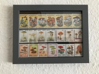 Bild mit Pilzbriefmarken ** / komplette Ausgaben