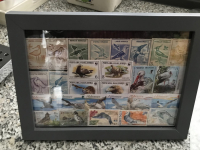 Bild mit Vogelbriefmarken ** / komplette Ausgaben
