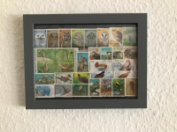 Bild mit Vogelbriefmarken ** / komplette Ausgaben