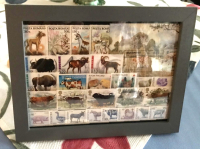 Bild mit Katzen - und Hunde Briefmarken ** / komplette Ausgaben