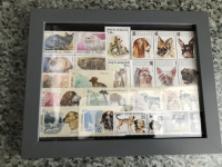 Bild mit Katzen - und Hunde Briefmarken ** / komplette Ausgaben
