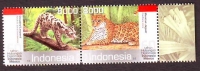 Indonesien  2013  2 Werte  **  ZD  Sundanebelparder / Jaguar