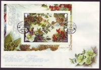 GB - Insel Man  2014  1 Block auf  1 FDC  Natur im Winter