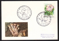 Italien  1983  1 Karte mit 2 Pilzstempel und Pilzzudruck  (10)