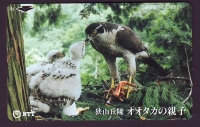 Japan  1991  1 Telefonkarte  gebraucht  Greifvogel