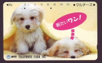 Japan  1991  1 Telefonkarte  gebraucht  Hunde