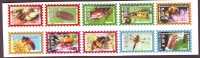Kurierdienst Jessen  2005  10 Werte  **  ZD  Käfer / Insekten