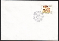 Jugoslawien  1983  1 Brief mit Pilzsonderstempel