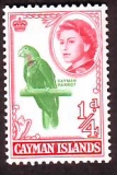 Kaiman - Inseln  1962  1 Wert  **  Weißkopfamazone
