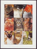 Kirgisien  1998  9 Werte  **  KLB  Hauskatzen