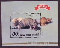 Korea - Nord  1989  1 Block  **  Falbkatze