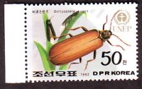 Korea - Nord  1992  1 Wert  **  Netzkäfer