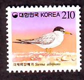 Korea - Süd  1995  1 Wert  **  Zwergseeschwalbe