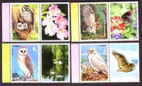 Korea - Nord  2006  4 Werte  **  + 4 ZF  4 ZD  Heimische Eulen