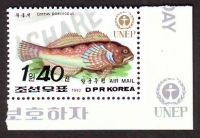 Korea - Nord  1992  1 Wert  **  Buntflossenfisch