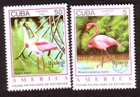 Kuba  1993  2 Werte  **  Flamingo / Rosalöffler