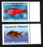 Marokko  2003  2 Werte  **  Papageifisch / Fahnenbarsch
