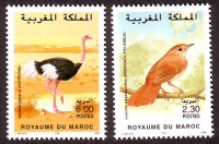 Marokko  1998  2 Werte  **  Nachtigall / Strauß