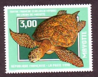 Mayotte  1998  1 Wert  **  Suppenschildkröte