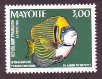 Mayotte  1998  1 Wert  **  Kaiserfisch