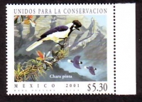 Mexiko  2001  1 Wert  **  Schopf - Blaurabe