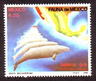 Mexiko  1982  1 Wert  **  Grauwale
