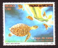 Mexiko  1982  1 Wert  **  Karettschildkröte