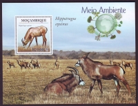 Mocambique  2010  1 Block  **  Pferdeantilope