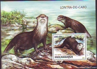 Mocambique  2016  1 Block  **  Kapotter