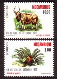 Mocambique  1977  2 Werte  **  Hornträger / Brotfarn