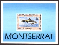 Montserrat  1990  1 Block  **  Weißseitendelphin