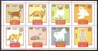 Oman  1981  8 Werte  **  KLB  Katzen