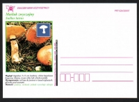Polen  1997  1 Postkarte  Zudruck Pilze  ungebraucht