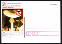 Polen  1997  1 Postkarte  Pilze als Zudruck  ungebraucht