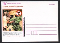 Polen  1997  1 Postkarte  Pilze als Zudruck  ungebraucht