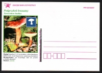 Polen  1997  1 Postkarte  Pilze als Zudruck  ungebraucht