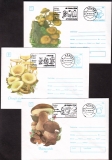 Rumänien  1993  6 Ganzsachen mit 6 Pilzstempel und 6 Pilzzudrucken  (01)