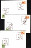 Rumänien  1995  3 Briefe mit 6 Pilzstempel  (09)