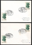 Rumänien  1996  2 Briefe mit 4 Pilzstempel  (11)