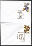 Rumänien  1995  2 Briefe mit Pilzmarken und Pilzstempel  (33)