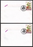 Rumänien  2001  2 Briefe mit 2 Pilzstempel  (46)