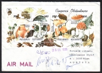 Rumänien  1995  1 Brief mit Pilzfrankatur  gelaufen  (03)