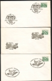 Rumänien  1998  3 Briefe mit 6 Pilzstempel  (12)