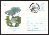 Rumänien  1993  1 Ganzsache mit Pilzen im Stempel / Eindruck und Zudruck  (23)