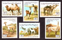 Sahara O.C.C.  1996  6 Werte  **  Kamele und Lamas